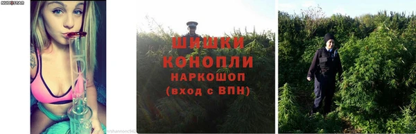 мяу мяу мука Михайловка