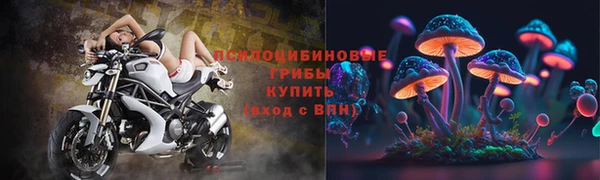 мдма Медвежьегорск