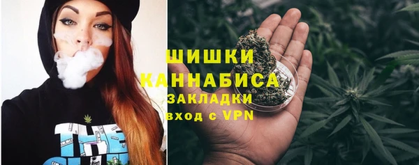 apvp Тайга