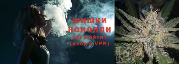 стафф Михайлов
