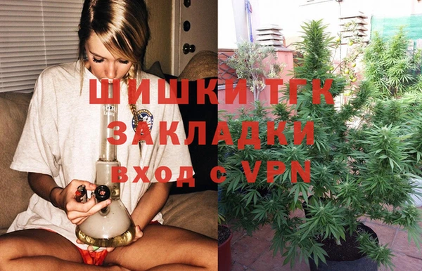 стафф Михайлов