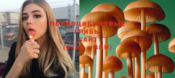 стафф Михайлов